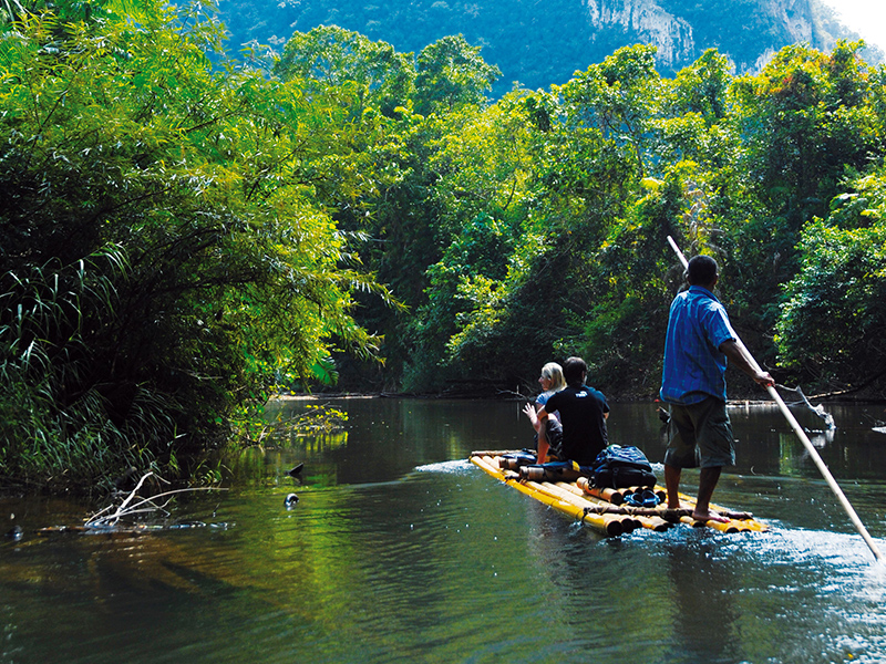 Khao Sok National Park Jungle Safari Tours