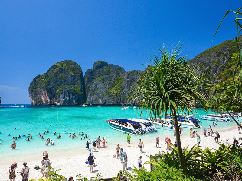 Phi Phi Island Tour by Speed Boat Half Day