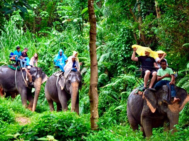 wildlife tours phuket
